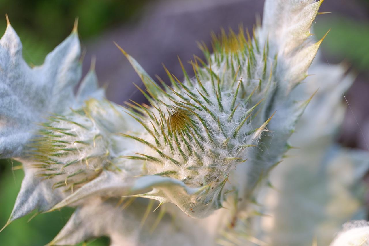 2. 运泽周边配套