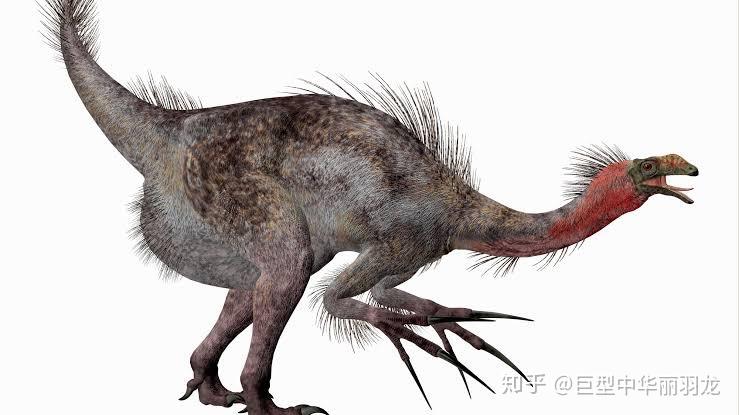 重爪龙跟镰刀龙有什么区别吗? - 知乎