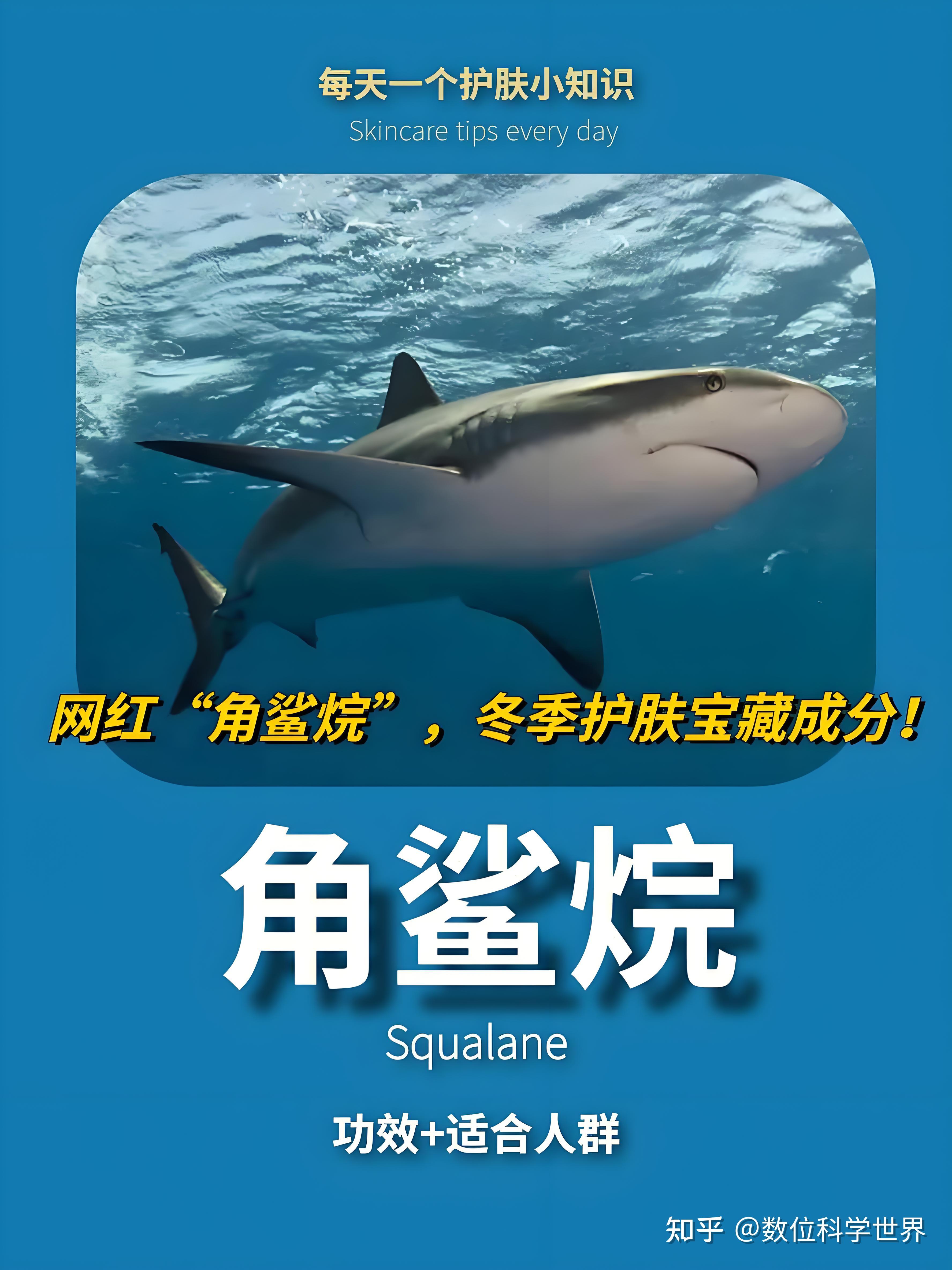 角鲨烷有修护皮肤屏障和守护敏感肌 - 知乎