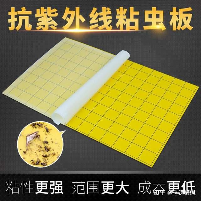 苍蝇为什么把自己的头拧下来?