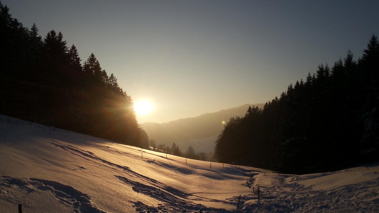 雪花飘舞的世界