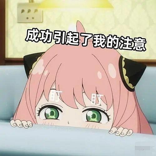 有没有安妮亚的表情包