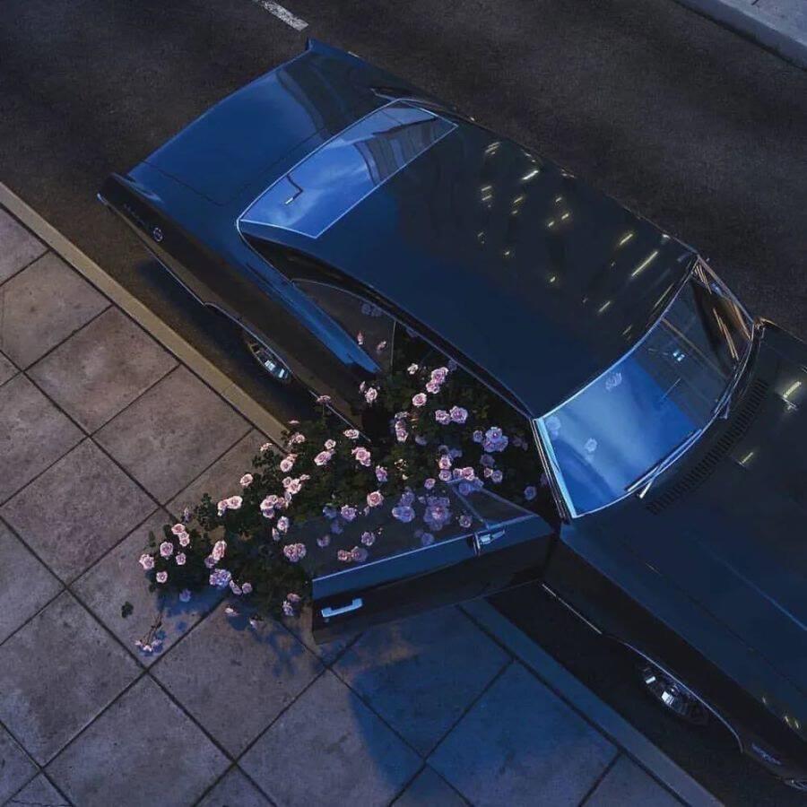 有什么配图的高级感朋友圈文案吗?(字数精炼,不要太矫情)? - 知乎