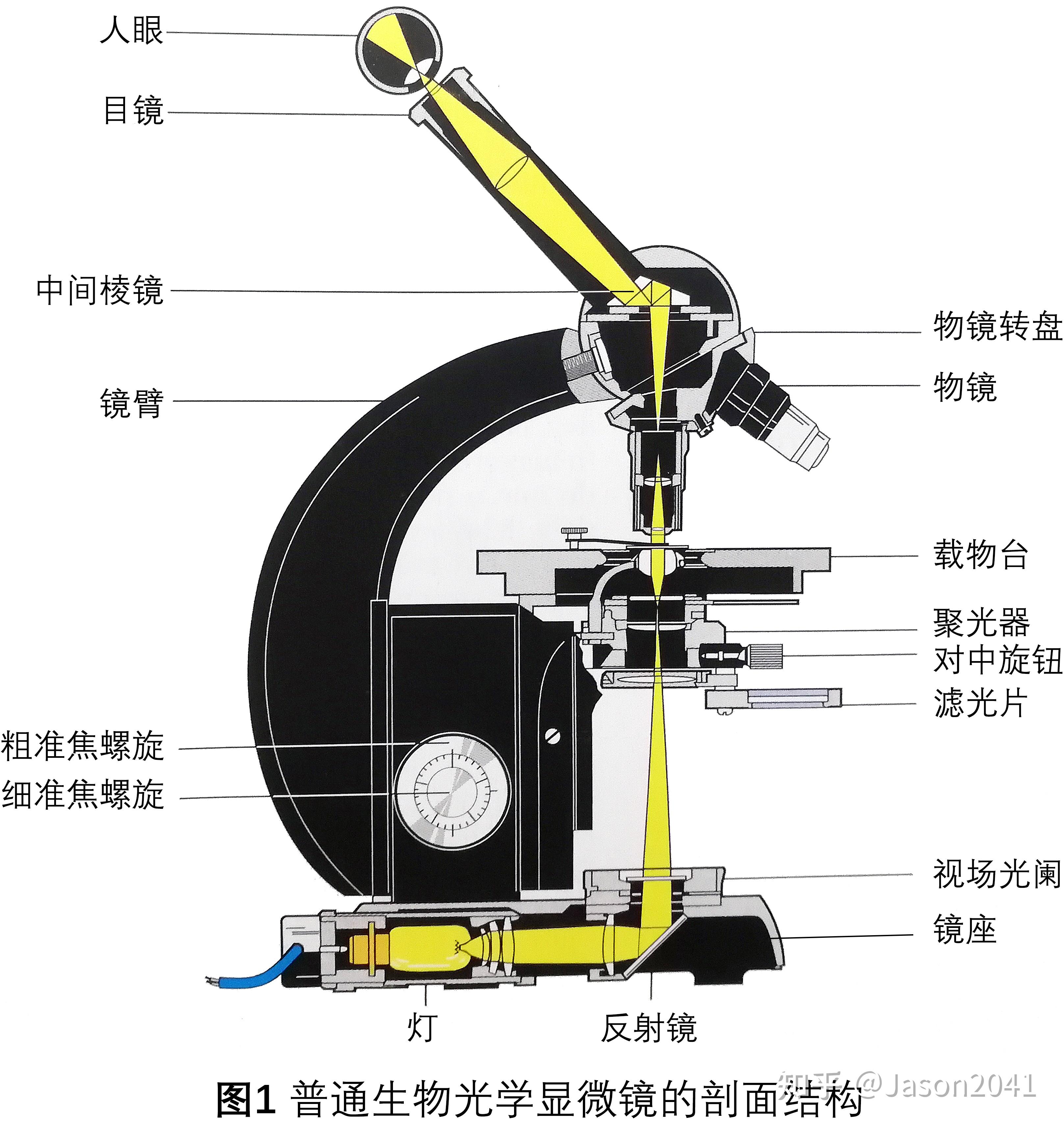 光学显微镜的结构特点有哪些