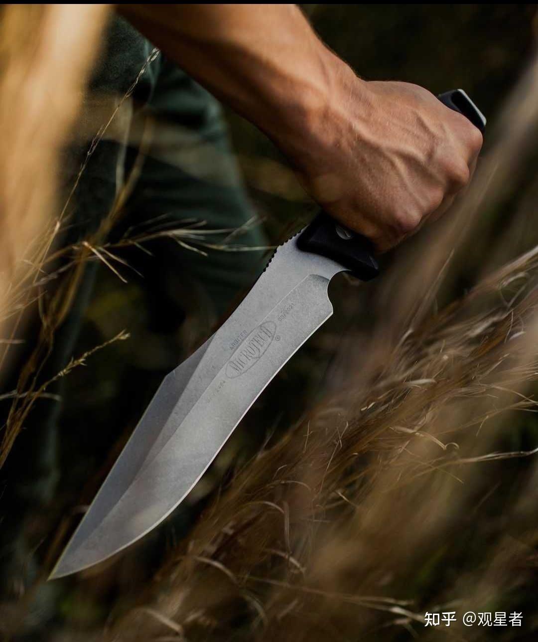 龙族里的狄克推多到底长啥样? - 知乎