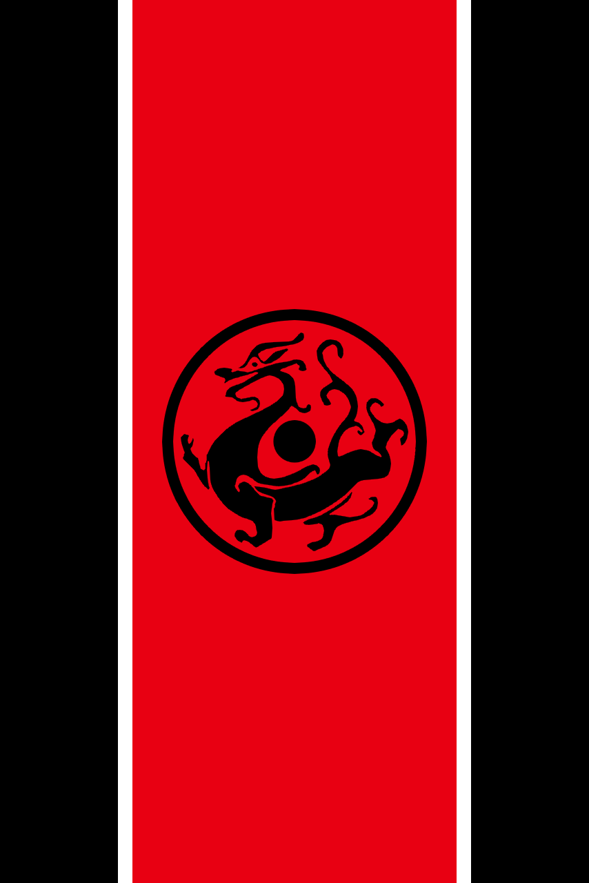 皇汉认为皇汉势力应该如何快速发展