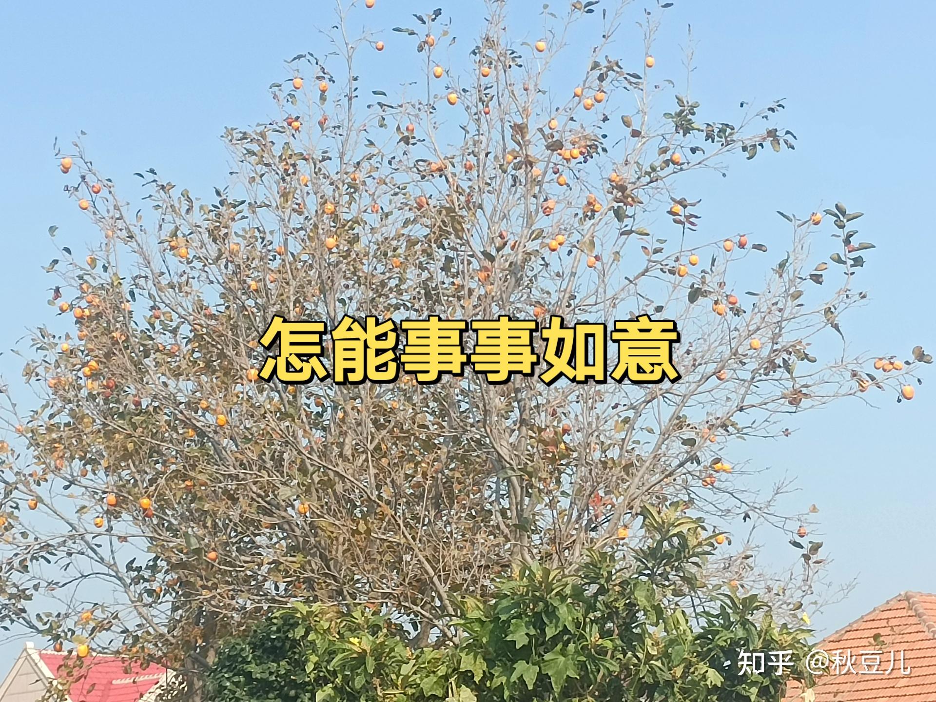 自己老公不想离婚,又天天想跟其他女人聊天见面,我该怎么办?