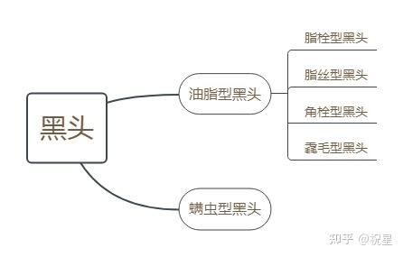 如何区分自己的黑头是螨虫型黑头还是脂栓型黑头?