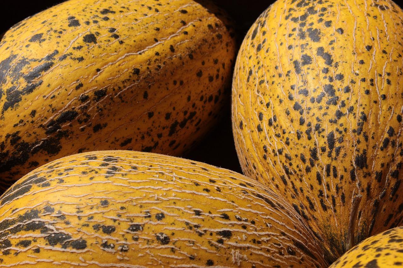 5. 病虫害防治技巧