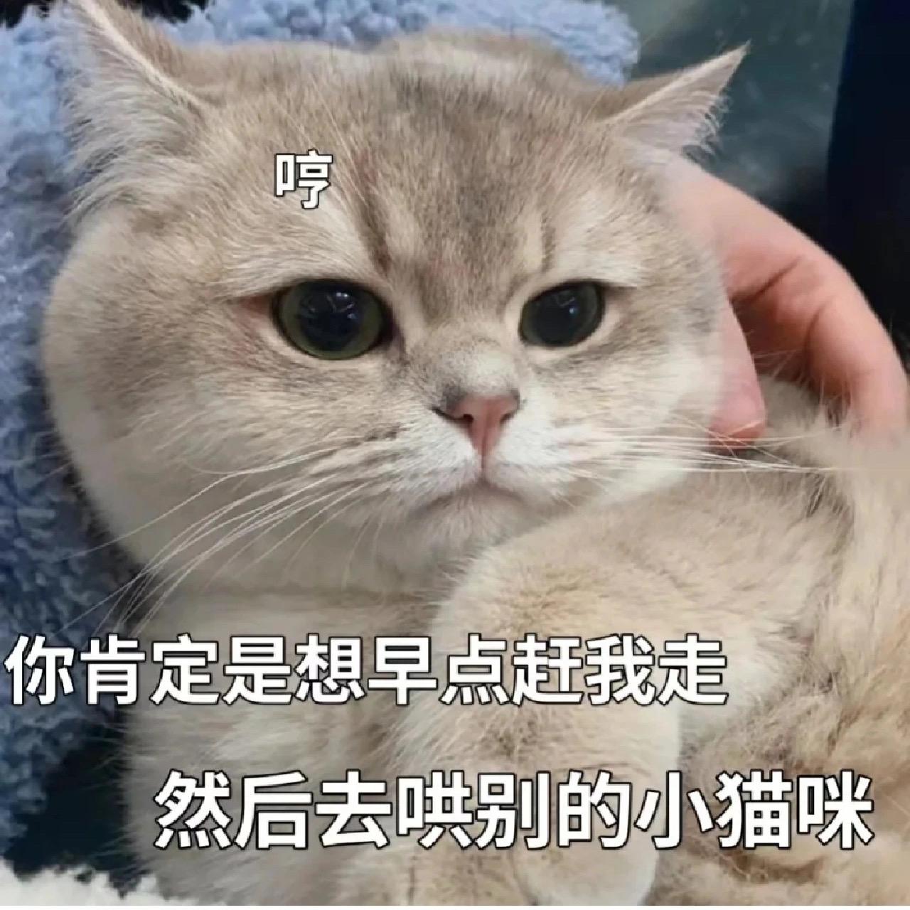 有哪些适合情侣间聊天使用的表情包? - 知乎