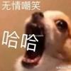 寄居蟹