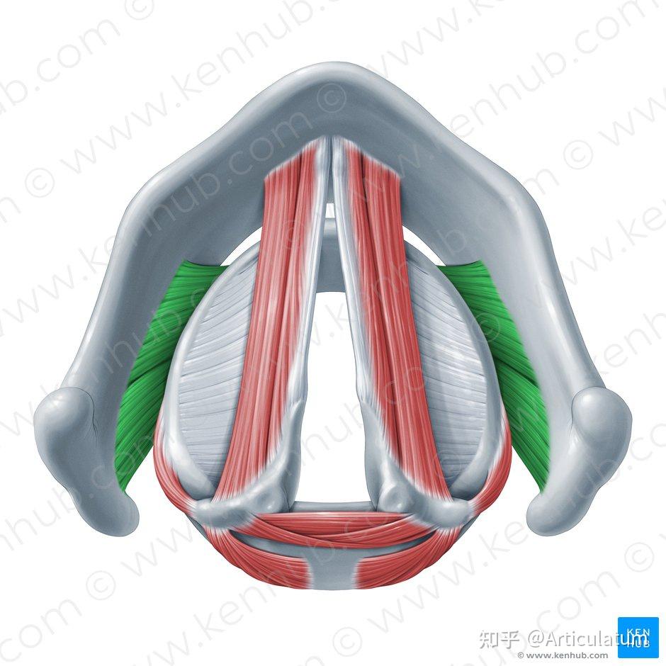 Best brand of corned beef brisket