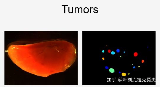 开源科学工程技术软件介绍59 – 细胞图像分析软件CellProfiler - 知乎