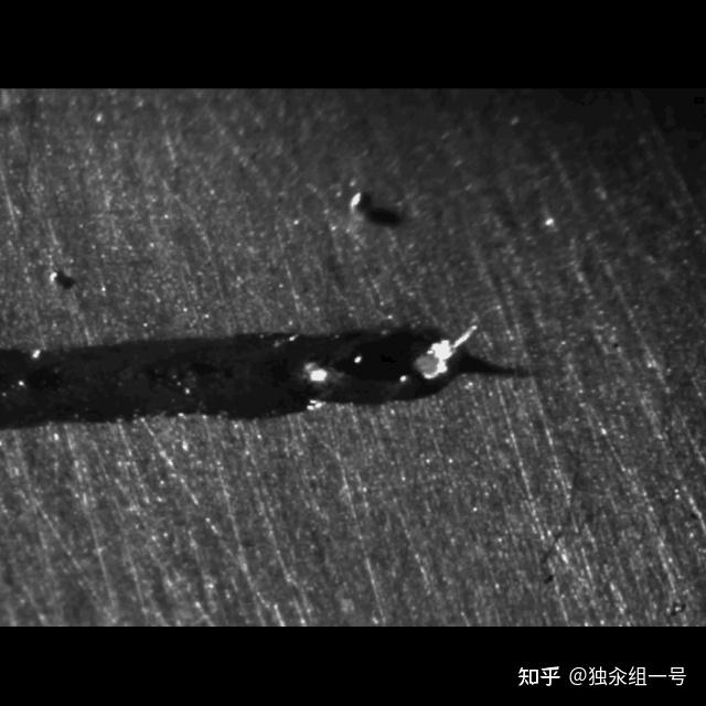 光博会分享专题——激光焊接飞溅形成机理及抑制方案分析 - 知乎