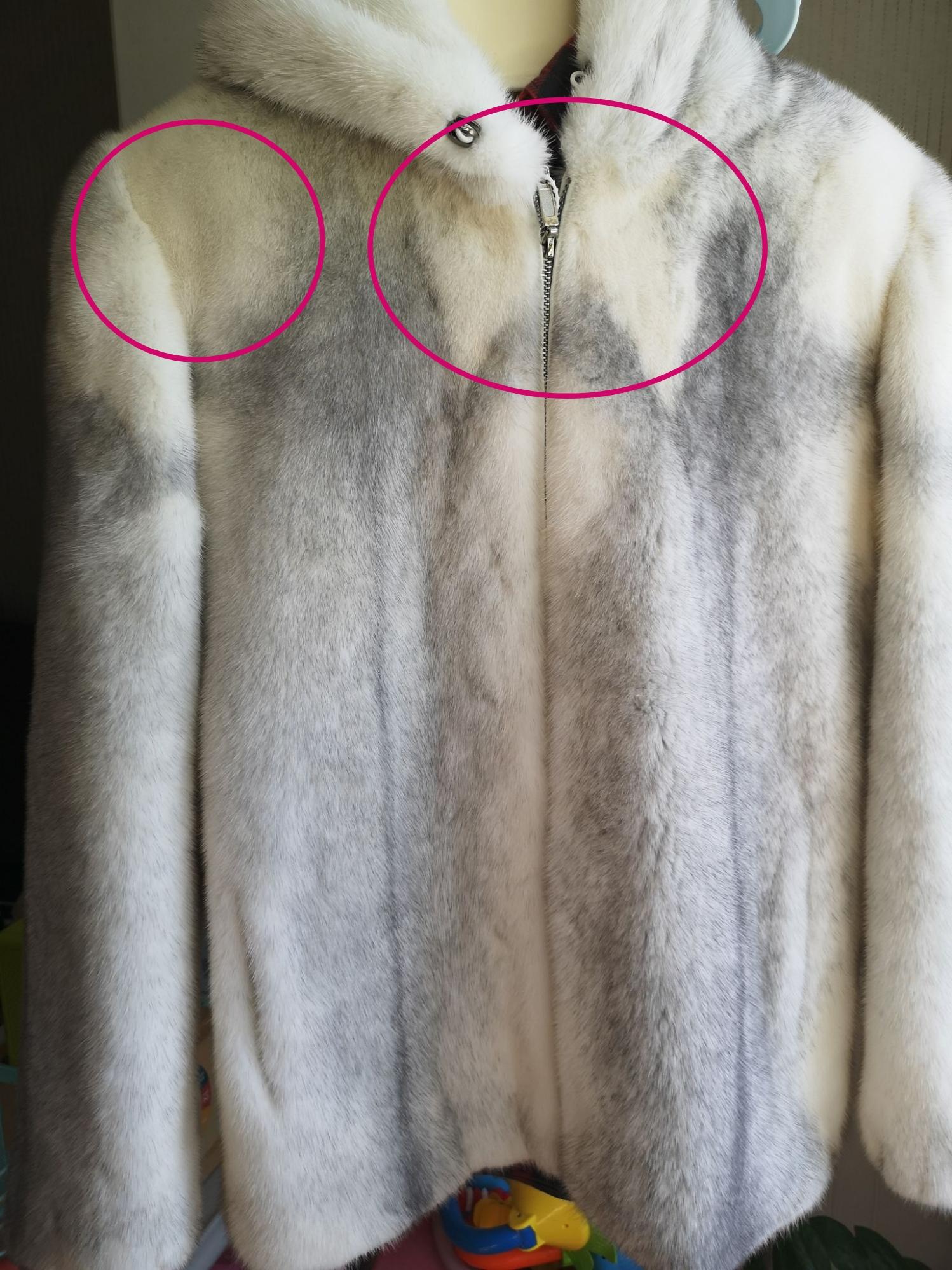 这款十字貂怎么样