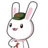 道亦有道