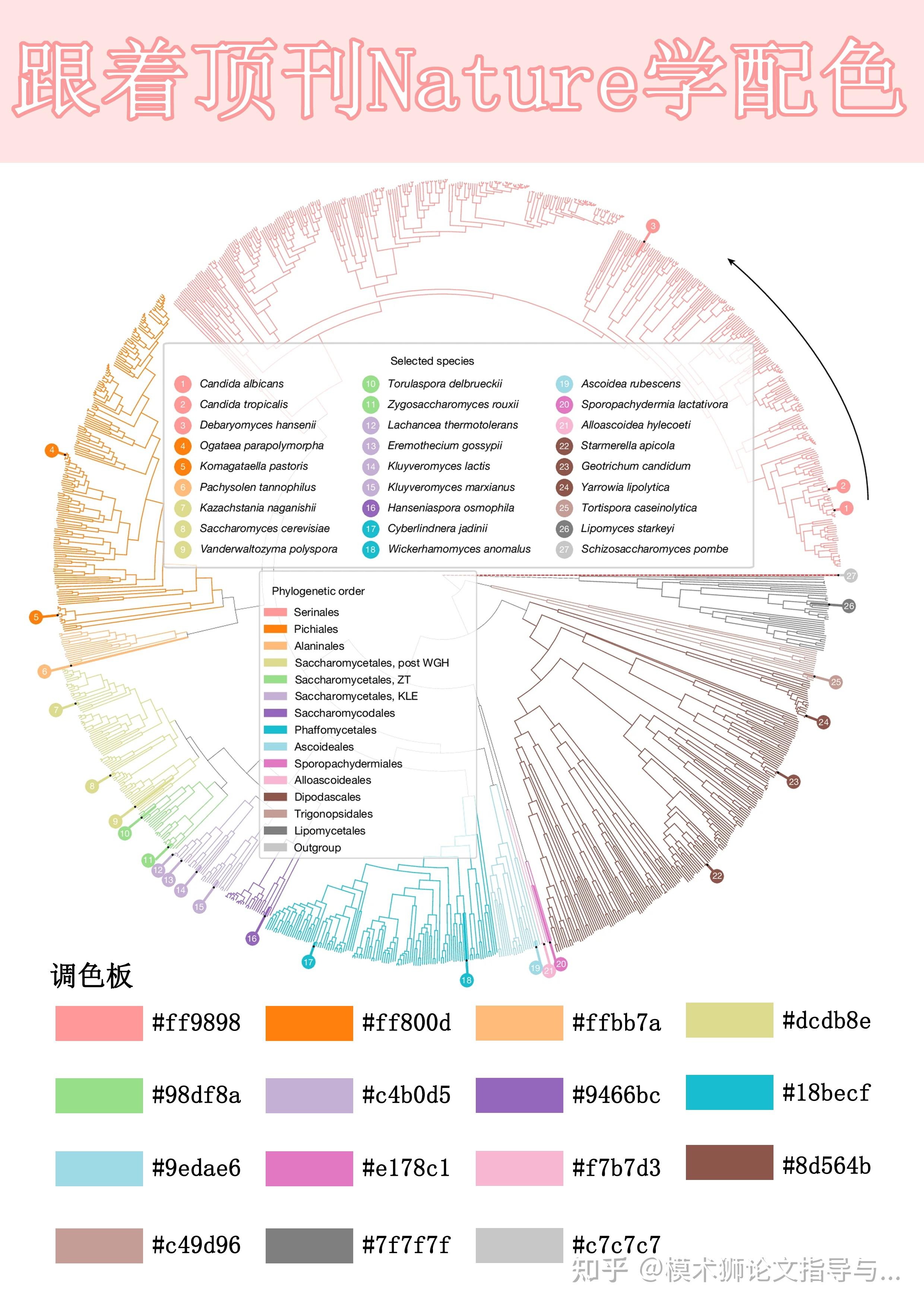 《nature》期刊数据图的配色原则有哪些？ - 知乎