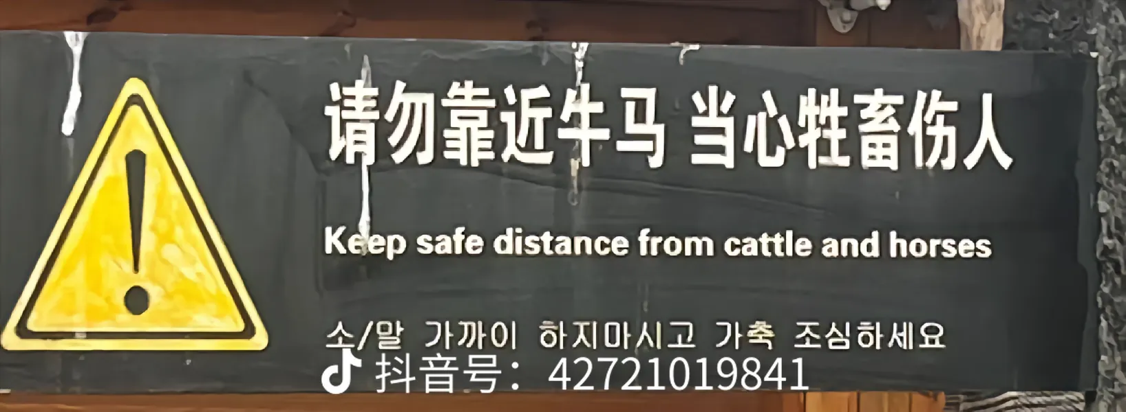 售价会低于小米su7吗?