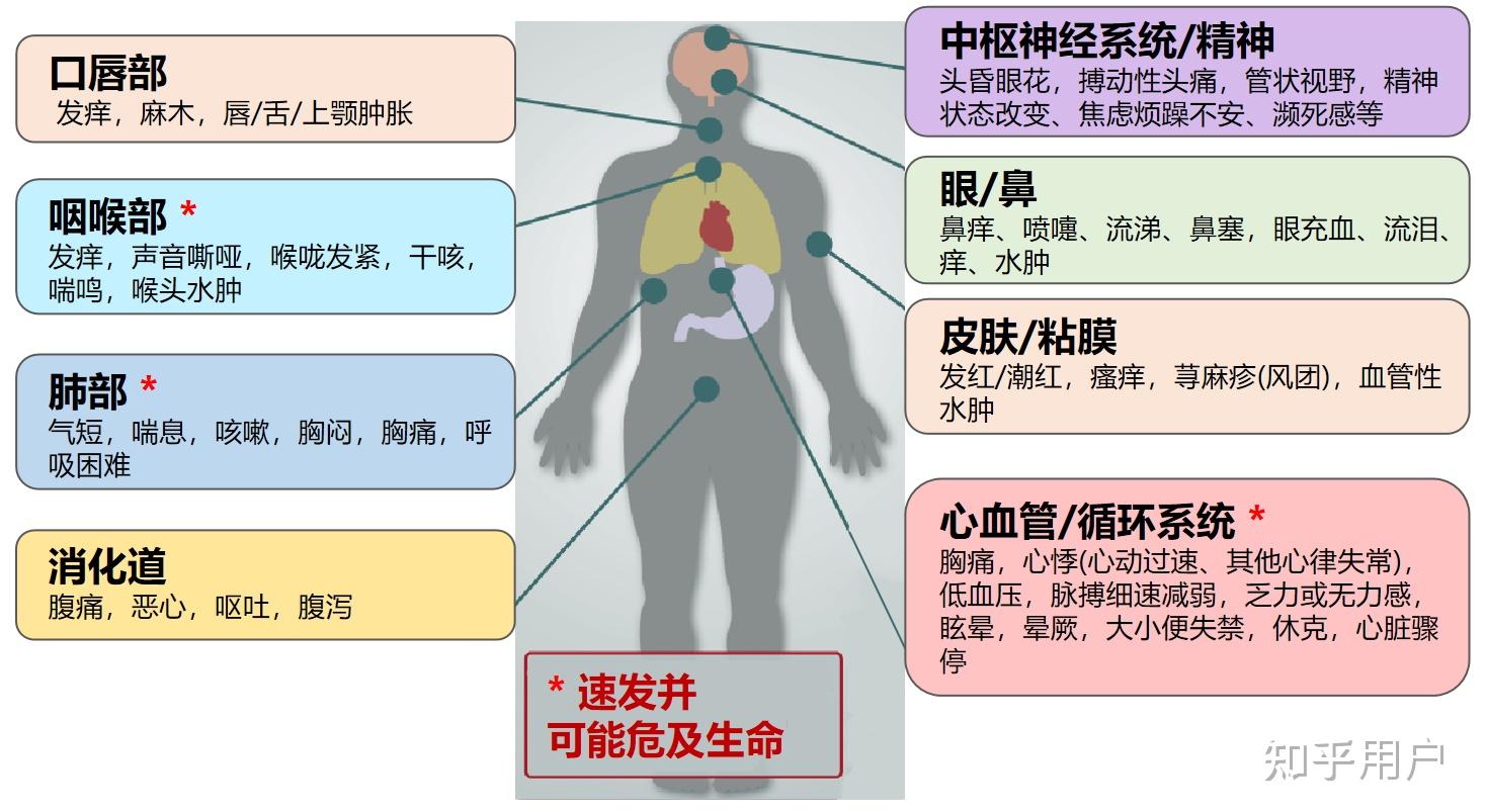 嚴重過敏反應常見的症狀有哪些