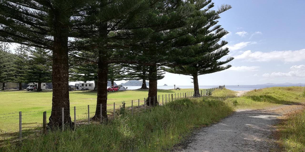 顾城短诗魅力解析