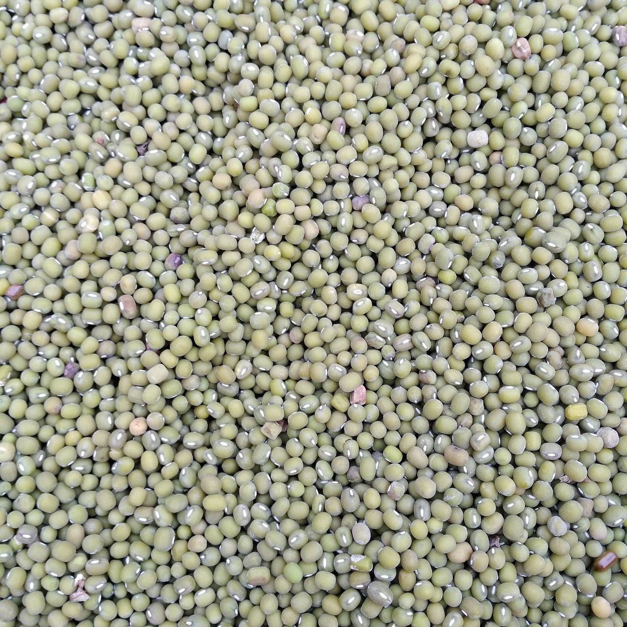 3. 精装户型推荐