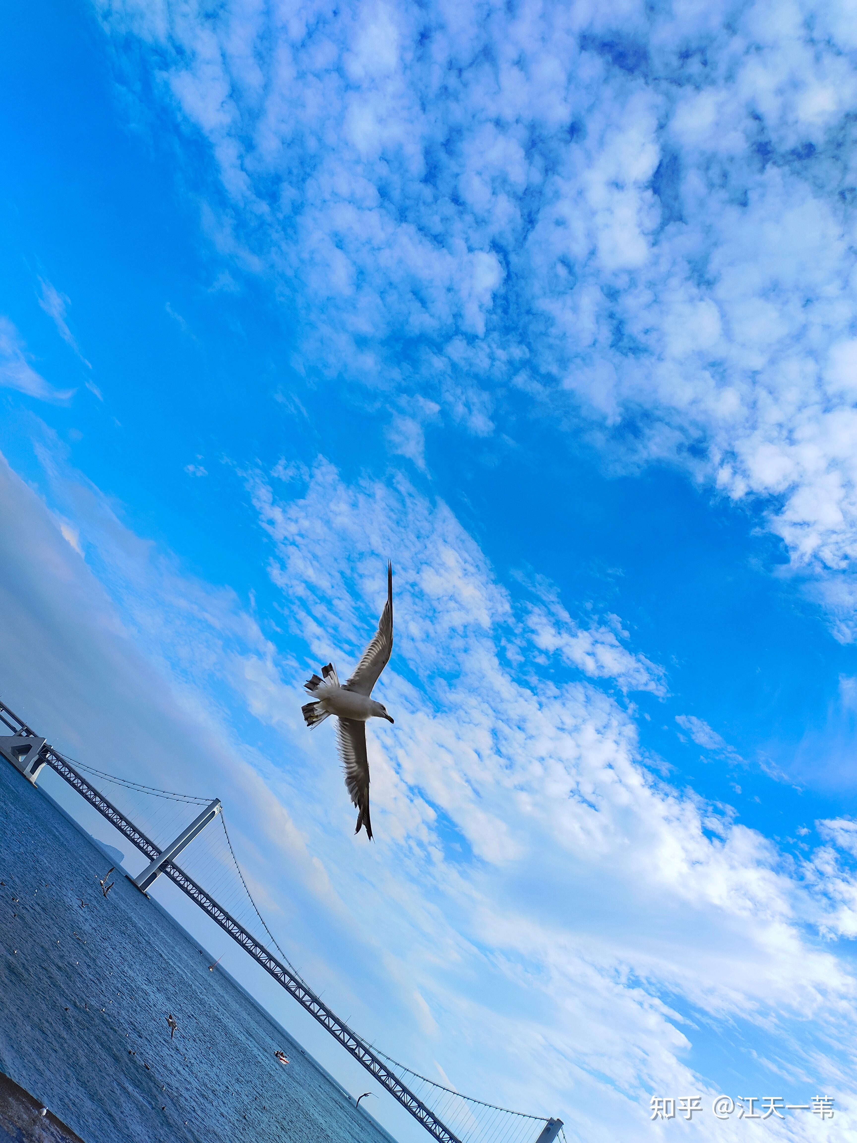 关注问题 67 写回答 登录/注册 手机摄影 美丽天空照片与故事 随手