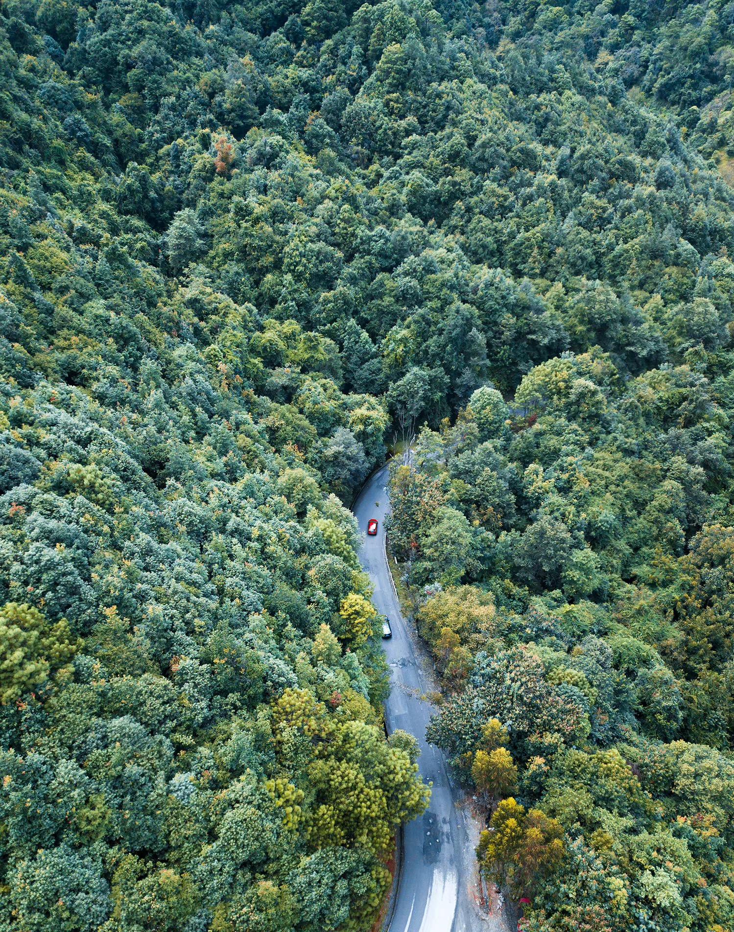 云南哀牢山究竟有多凶险