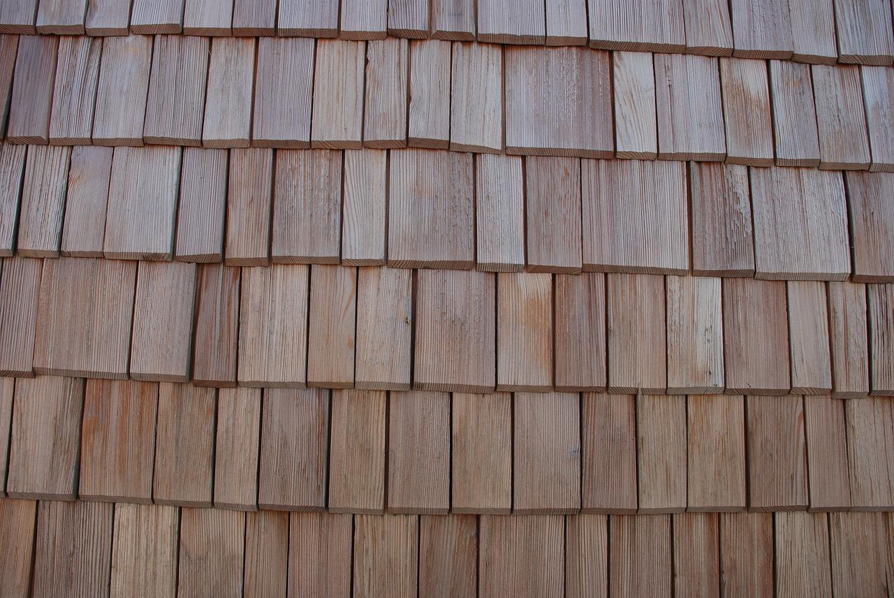 如何形容龙骨草