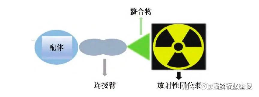全球治疗性RDC核药行业竞争格局 - 知乎