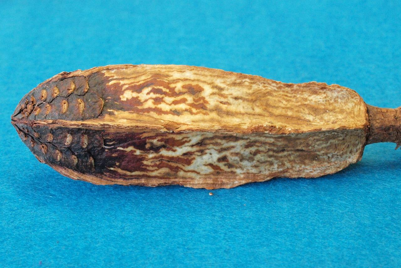 3. 日本木刻刀品牌