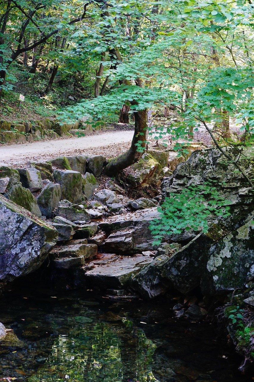 3. 甲醛超标危害