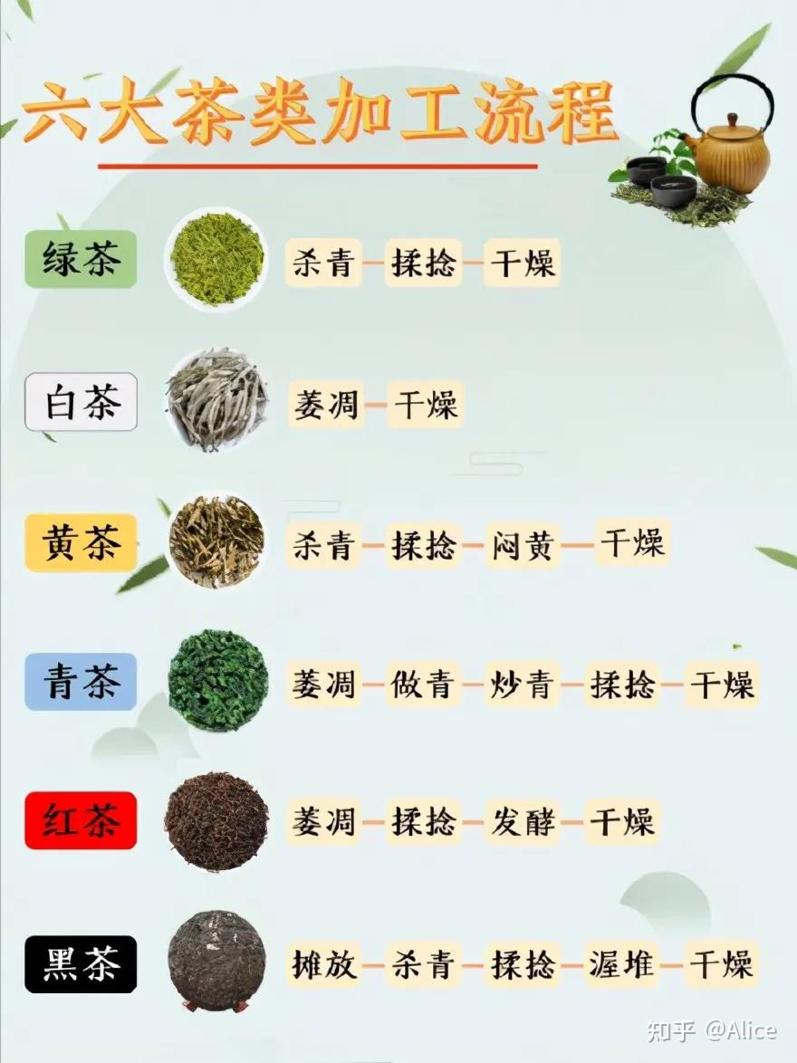 绿茶的功效与作用（经常喝绿茶有什么好处）
