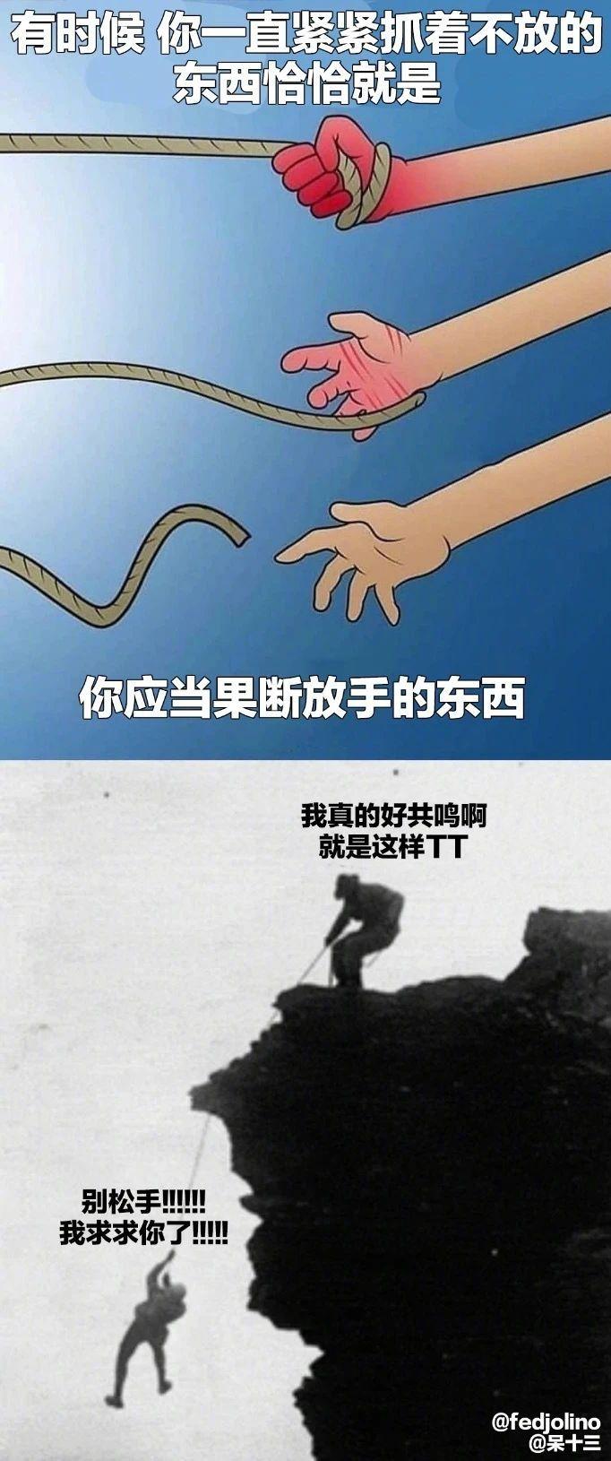 有哪些有趣的互联网MEME图/梗图/迷因图? - 知乎