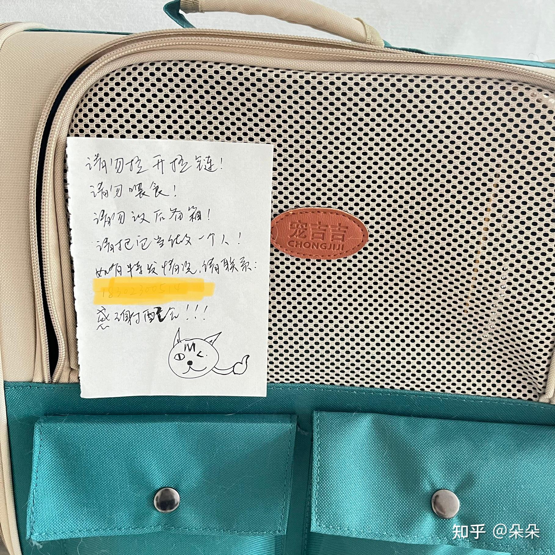 一只叫坨坨的猫飞越千里,跨越山河,坐汽车、坐飞机,只为见到它的主人 - 知乎