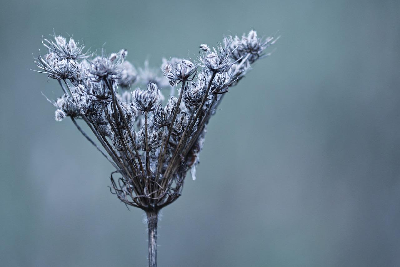 如何防止布掉色