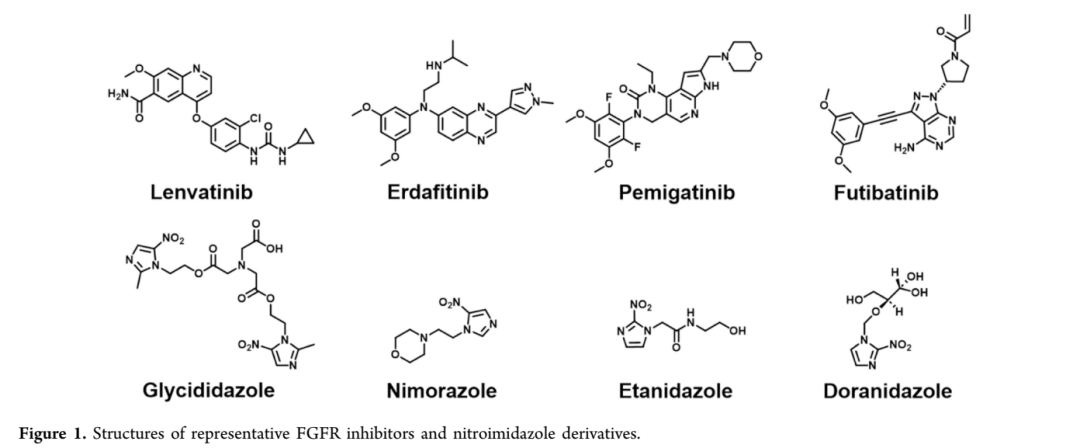 【JMC】成都大学赵立峰/四川大学张力丹:双功能FGFR抑制剂联合放疗诱导焦亡,重塑免疫微环境实现强效抗肿瘤 - 知乎