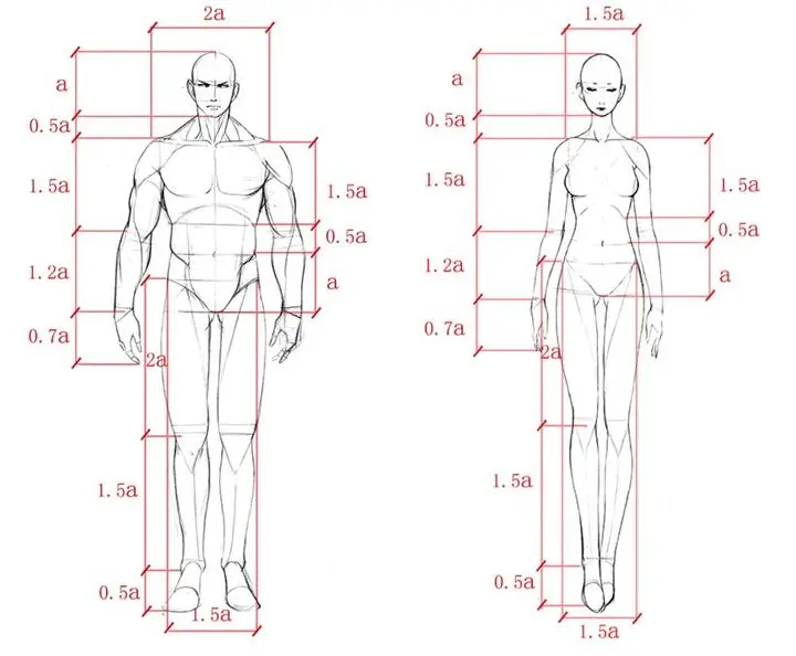 零基础如何快速入门绘画?17 零基础如何快速入门绘画?