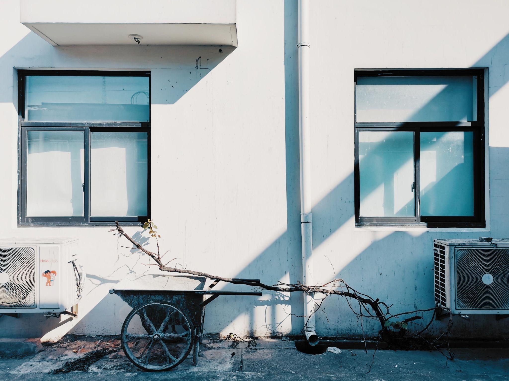 2021 年你朋友圈哪张照片获赞最高? - 知乎