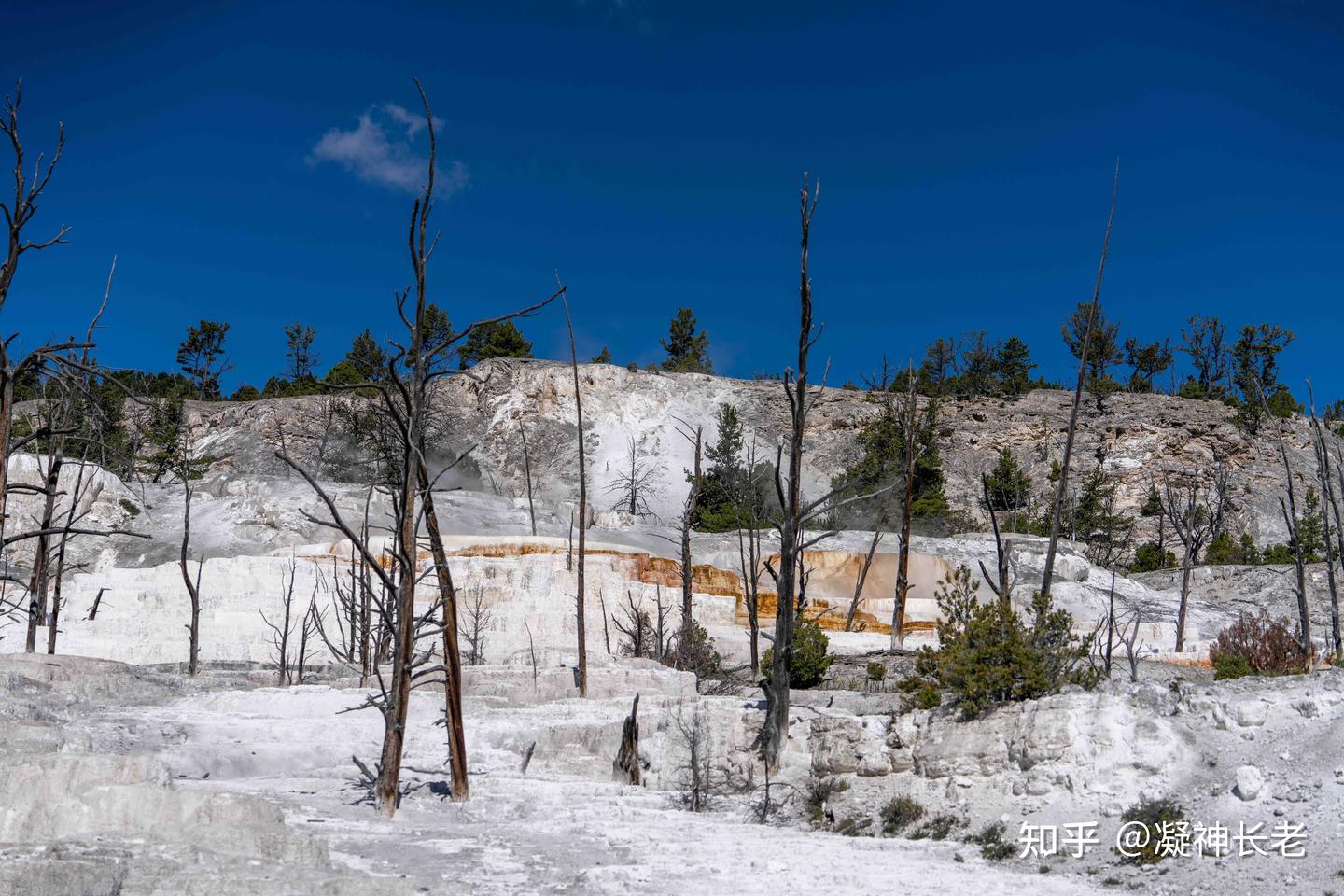 黄石国家公园和大提顿国家公园- 知乎