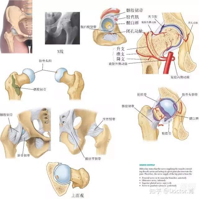 髖關節滑囊炎的症狀表現是什麼