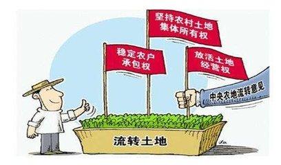 现代农业种植合作社的发展趋势与挑战