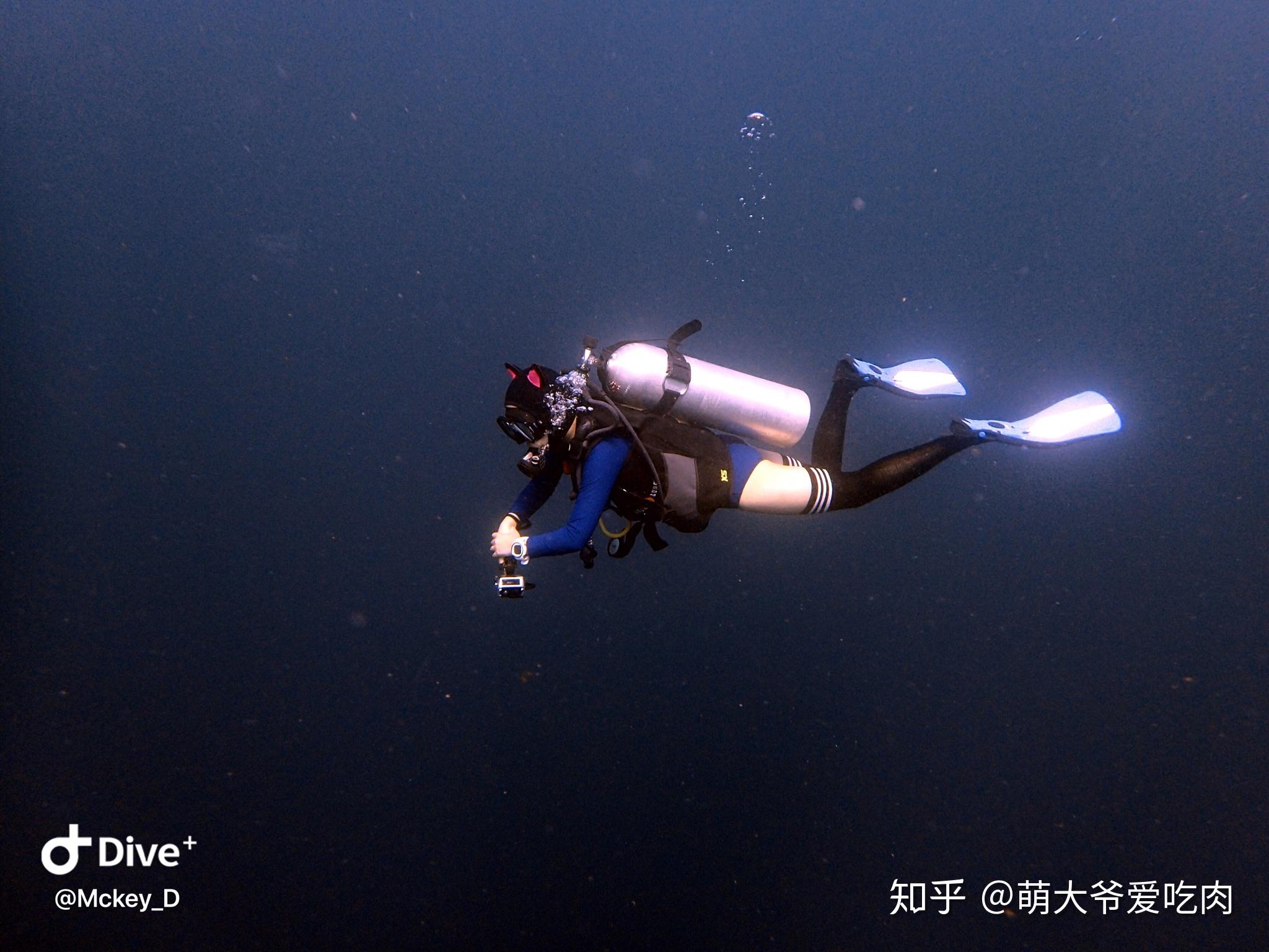 女性潜水员在哪些方面比男性潜水员更厉害? - 知乎