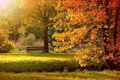 Enfp 奋斗者的性格特点 优缺点 合适的工作 知乎