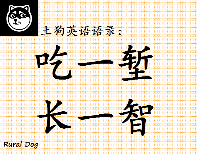 土狗英语语录英文版吃一堑长一智咋翻译来看大佬翻译