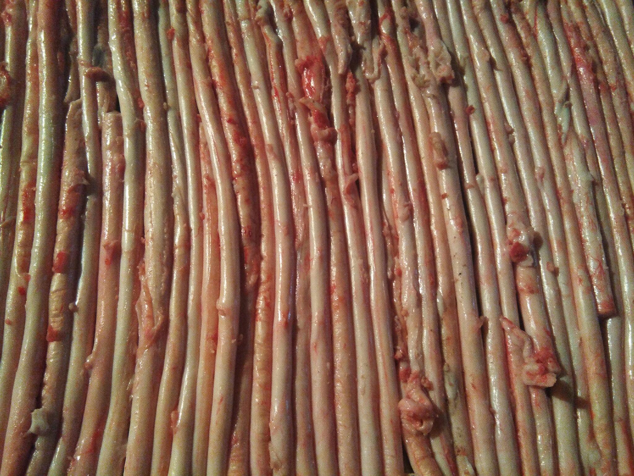 今天熬汤,猪骨头的骨髓是绿色的,这猪怎么了?